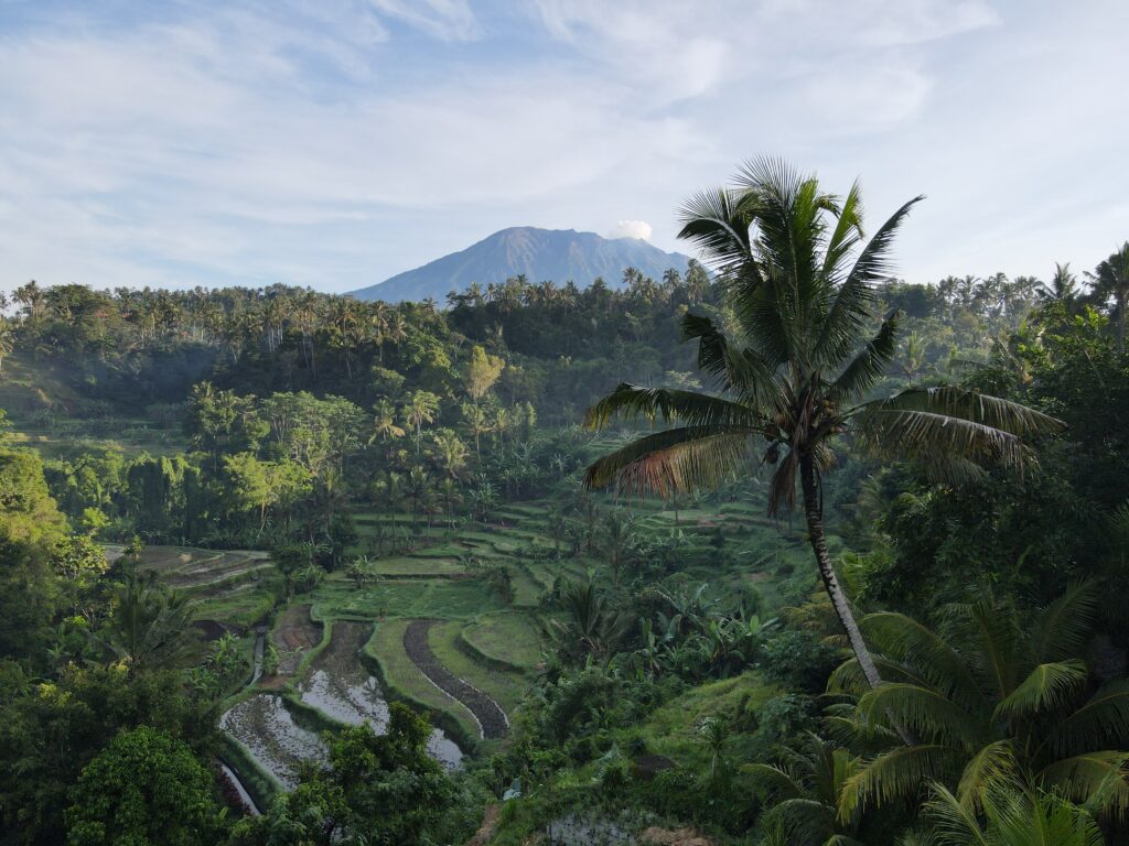 Bali – czy warto